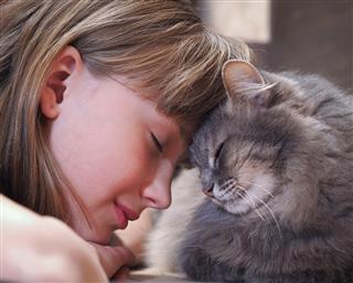 5 buenas razones para adoptar un gato de refugio