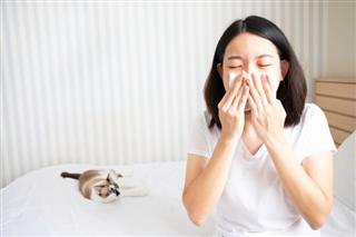 Alergia al gato: 4 síntomas a tener en cuenta