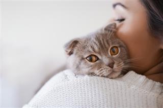 Qué hacer en caso de alergia al gato ... cuando ya tienes un gato ?