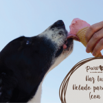 4-recetas-de-helado-casero-para-perros-alimentar-a-su-perro