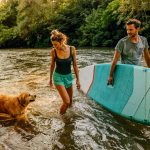 6-ideas-para-hacer-feliz-a-su-perro-durante-el-verano-viajar-y-jugar-con-su-perro