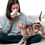 alergia-a-los-gatos-que-realizar-para-calmar-los-sintomas-manten-a-tu-gato