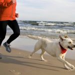 correr-con-su-perro-todo-lo-que-necesita-saber-antes-de-comenzar-viajar-y-jugar-con-su-perro