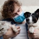 covid-19-cuales-son-las-soluciones-para-tratar-a-su-perro-o-gato-durante-el-parto-trata-a-su-perro