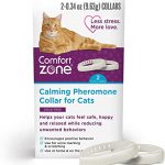 osteopatia-para-gatos-existe-y-es-eficaz-manten-a-tu-gato
