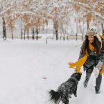 perro-e-invierno-como-cuidarlo-cuando-hace-frio-y-nieve-manten-a-tu-perro